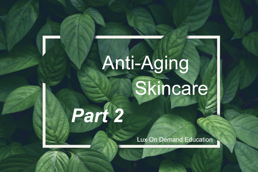 Anti-Aging Skincare - PART 2